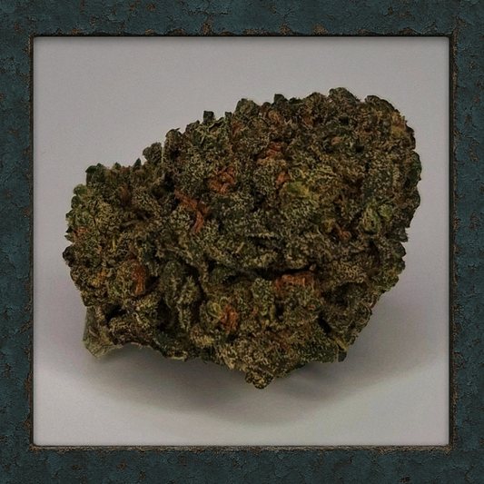 Orange Buddha CBG Blüte in Nahaufnahme, hellgrün mit feinen orangen Härchen