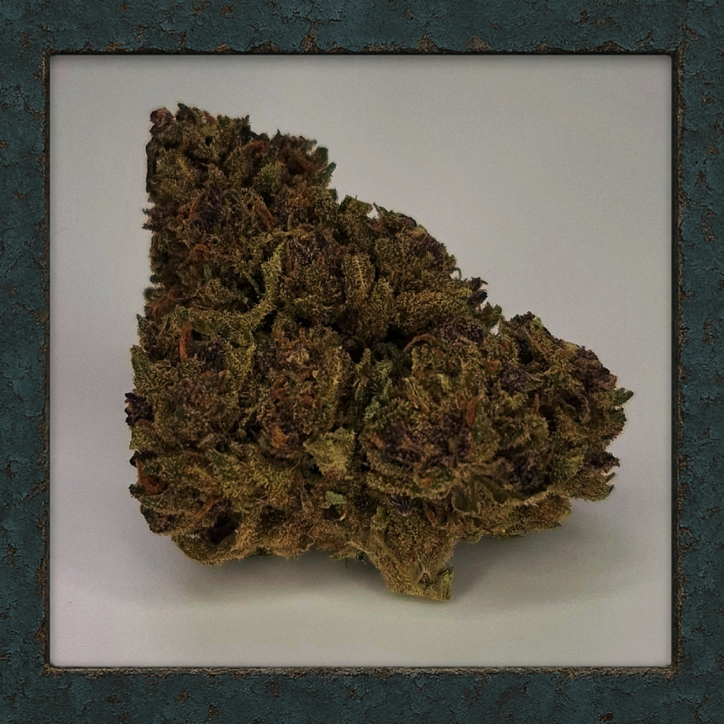 Purple Queen 20%