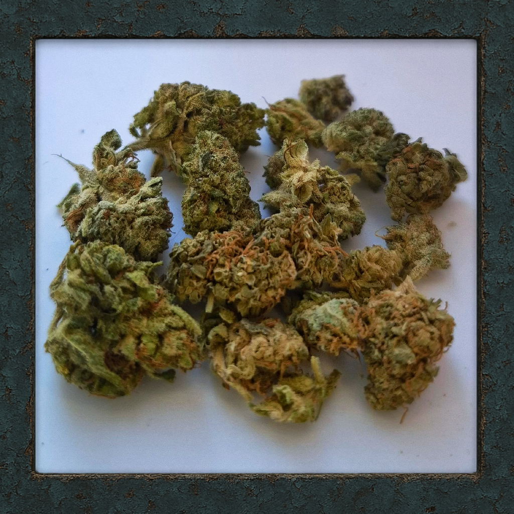Small Bud Mix (One-Pack)