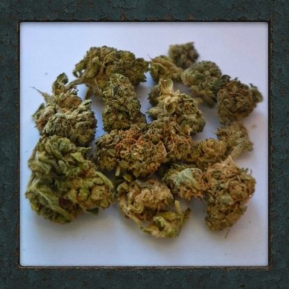 Small Bud Mix (One-Pack)