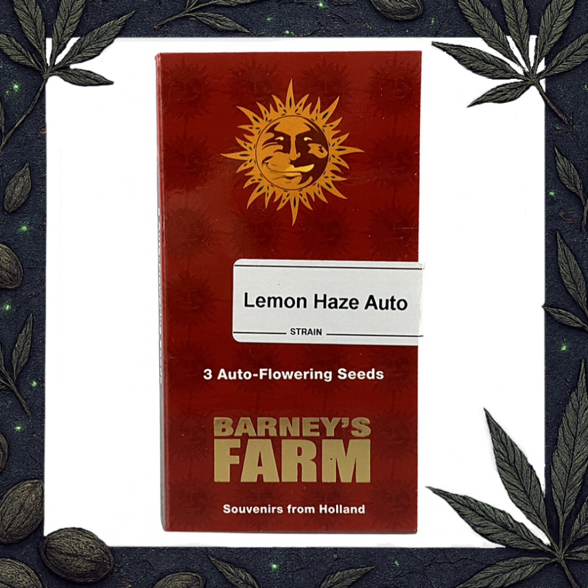 Lemon Haze Auto [Barney's Farm]