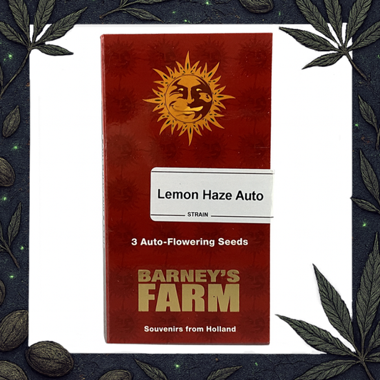 Lemon Haze Auto [Barney's Farm]