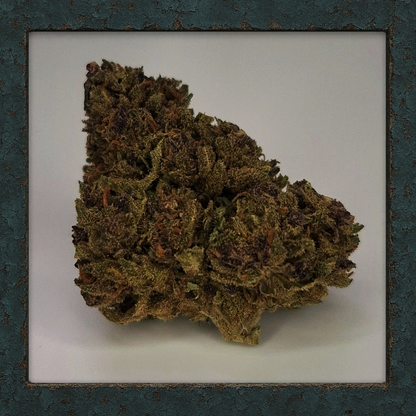 Purple Queen 20%