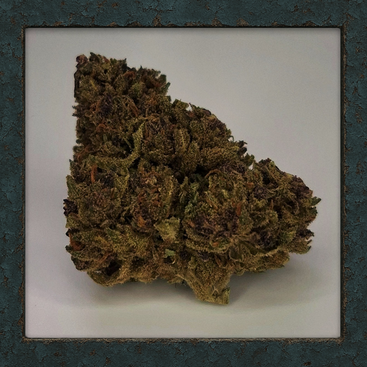 Purple Queen 20%