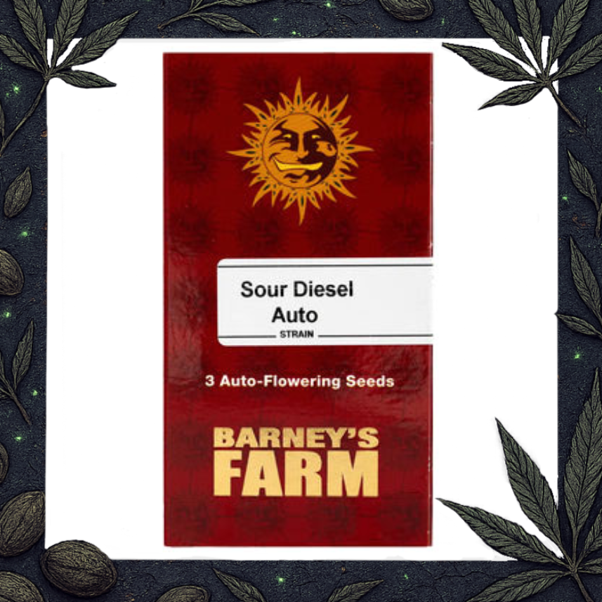 Sour Diesel Auto [Barney's Farm]