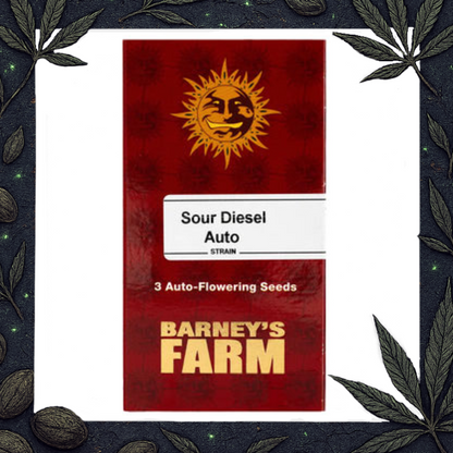 Sour Diesel Auto [Barney's Farm]