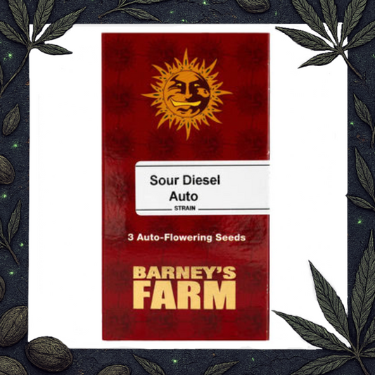 Sour Diesel Auto [Barney's Farm]